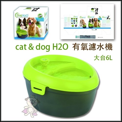 Dog&Cat H2O《有氧濾水機-大》6L 綠色