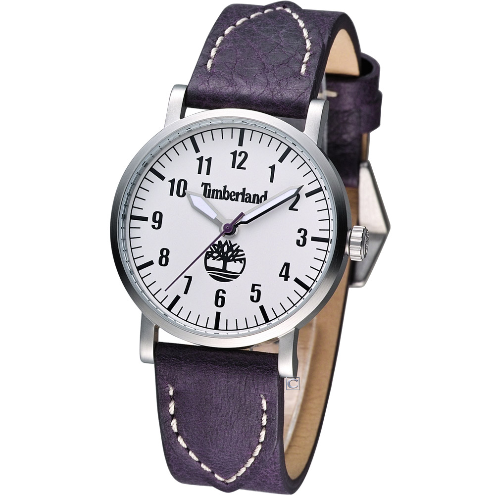 Timberland BELLAMY 叢林奇遇時尚腕錶-銀x紫/35mm