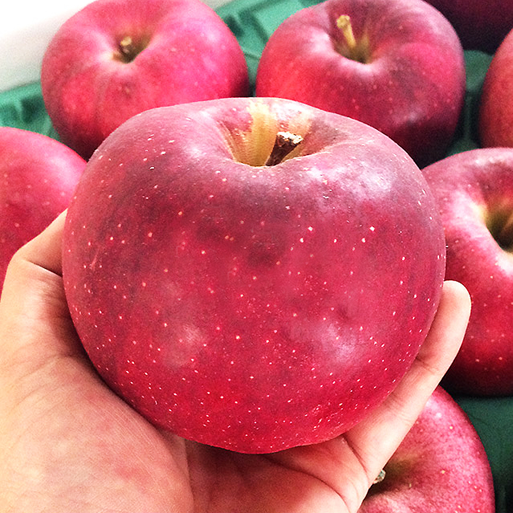 果之家 日本青森稀少種大紅榮蘋果XL特級6顆禮盒(約4.5台斤，單顆為420-450g)