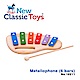【荷蘭New Classic Toys】幼兒6音彩虹敲敲鐵琴 - 10211 product thumbnail 1