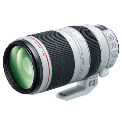 Canon EF 100-400mm f/4.5-5.6L IS II USM(平輸)