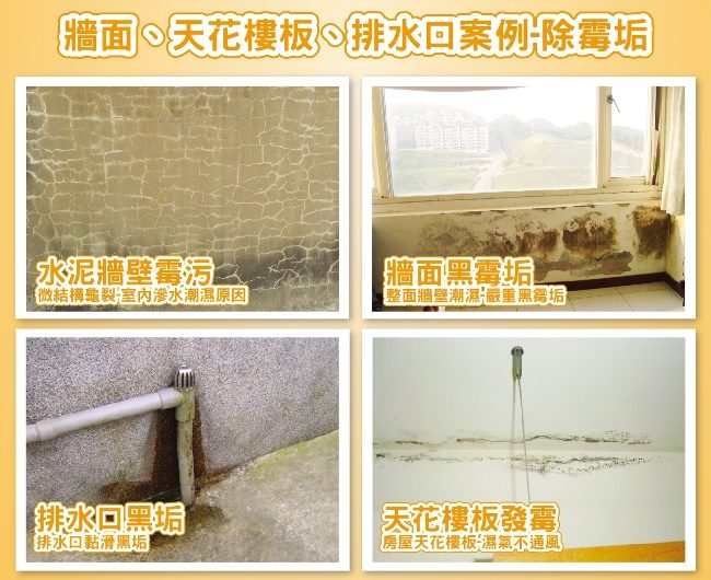 磁磚縫/浴室/水泥牆壁用去霉除垢劑 500ml*5入