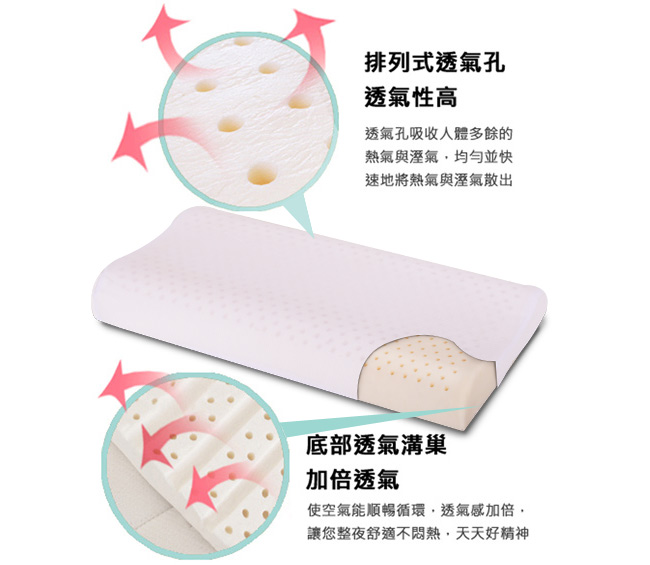 LooCa 加強透氣型工學乳膠枕-小童枕(1入)