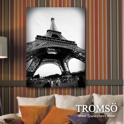 TROMSO時尚無框畫-艾菲爾鐵塔